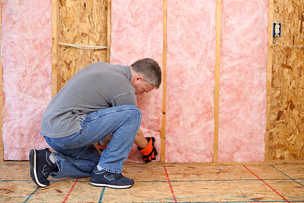 Best Specialized Insulation Services in Lumberton, MS